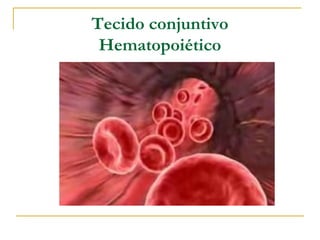 Tecido conjuntivo
 Hematopoiético
 