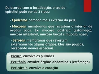 De acordo com a localização, o tecido
epitelial pode ser de 3 tipos:
• Epiderme: camada mais externa da pele;
• Mucosas: membranas que revestem o interior de
órgãos ocos. Ex: mucosa gástrica (estômago),
mucosa intestinal, mucosa bucal e mucosa nasal;
• Serosas: membranas que revestem
externamente alguns órgãos. Elas são poucas,
recebendo nomes especiais:
- Pleura: envolve os pulmões
- Peritônio: envolve órgãos abdominais (estômago)
- Pericárdio: envolve o coração
 