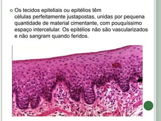 Os tecidos epiteliais ou epitélios têm
células perfeitamente justapostas, unidas por pequena
quantidade de material cimentante, com pouquíssimo
espaço intercelular. Os epitélios não são vascularizados
e não sangram quando feridos.
 