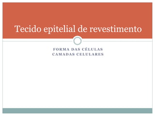 F O R M A D A S C É L U L A S
C A M A D A S C E L U L A R E S
Tecido epitelial de revestimento
 