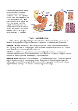 3
Cálculos da área de membrana que
constitui as microvilosidades
mostram que elas aumentam
quinhentas vezes a área superficial
de cada célula, em comparação com
a área de células que têm a borda
lisa. O mesmo tipo de cálculo nos
leva a concluir que o intestino
delgado humano apresenta uma
superfície de absorção de mais de
300 m2
, equivalente à área de uma
quadra de esportes de 20 m de
comprimento por 15 m de lado.
Tecido epitelial glandular
As células do tecido epitelial glandular produzem substâncias chamadas secreções, que podem ser
utilizadas e outras partes do corpo ou eliminadas do organismo. Existem três tipos de glândulas:
Glândulas exócrinas: apresentam a porção secretora associada a dutos que lançam suas secreções
para fora do corpo (como as glândulas sudoríparas, lacrimais, mamárias e sebáceas) ou para o interior
de cavidades do corpo (como as glândulas salivares);
Glândulas endócrinas: não apresentam dutos associados à porção secretora. As secreções são
denominadas hormônios e lançadas diretamente nos vasos sanguíneos e linfáticos. Exemplos, hipófise,
glândulas da tireóide, glândulas paratireódeas e glândulas adrenais;
Glândulas mistas: apresentam regiões endócrinas e exócrinas ao mesmo tempo. É o caso do pâncreas,
cuja porção exócrina secreta enzimas digestivas que são lançadas no duodeno, enquanto a porção
endócrina é responsável pela secreção dos hormônios insulina e glucagon. Esses hormônios atuam,
respectivamente, na redução e no aumento dos níveis de glicose no sangue.
 