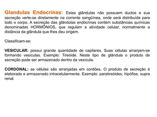 Glandulas Endocrinas: Estas glândulas não possuem ductos e sua
secreção verte-se diretamente na corrente sangüínea, onde será distribuída para
todo o corpo. A secreção das glândulas endócrinas contém substâncias químicas
denominadas HORMÔNIOS, que regulam a atividade celular, normalmente a
distância da glândula que lhes deu origem.
Classificam-se:
VESICULAR: possui grande quantidade de capilares. Suas células arranjam-se
formando vesículas. Exemplo: Tireóide. Neste tipo de glândula o produto de
secreção pode ser armazenado dentro da vesícula.
CORDONAL: as células são arranjadas em cordões. O produto de secreção é
elaborado e armazenado intracelularmente. Exemplo: paratireóides, hipófise, supra
renal.
 