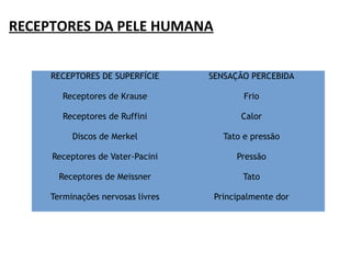 RECEPTORES DA PELE HUMANA
RECEPTORES DE SUPERFÍCIE SENSAÇÃO PERCEBIDA
Receptores de Krause Frio
Receptores de Ruffini Calor
Discos de Merkel Tato e pressão
Receptores de Vater-Pacini Pressão
Receptores de Meissner Tato
Terminações nervosas livres Principalmente dor
 