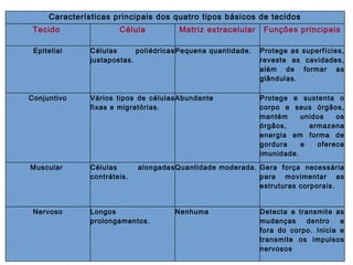 Características principais dos quatro tipos básicos de tecidos
Tecido Célula Matriz extracelular Funções principais
Epitelial Células poliédricas
justapostas.
Pequena quantidade. Protege as superfícies,
reveste as cavidades,
além de formar as
glândulas.
Conjuntivo Vários tipos de células
fixas e migratórias.
Abundante Protege e sustenta o
corpo e seus órgãos,
mantém unidos os
órgãos, armazena
energia em forma de
gordura e oferece
imunidade.
Muscular Células alongadas
contráteis.
Quantidade moderada. Gera força necessária
para movimentar as
estruturas corporais.
Nervoso Longos
prolongamentos.
Nenhuma Detecta e transmite as
mudanças dentro e
fora do corpo. Inicia e
transmite os impulsos
nervosos
 