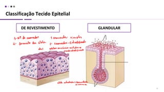Classificação Tecido Epitelial
10
DE REVESTIMENTO GLANDULAR
 