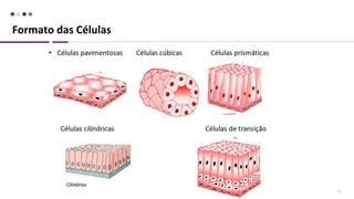 Formato das Células
13
 
