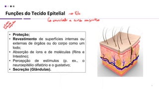 Funções do Tecido Epitelial
2
• Proteção;
• Revestimento de superfícies internas ou
externas de órgãos ou do corpo como um
todo;
• Absorção de íons e de moléculas (Rins e
Intestino);
• Percepção de estímulos (p. ex., o
neuroepitélio olfatório e o gustativo;
• Secreção (Glândulas).
 