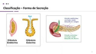 Classificação – Forma de Secreção
29
 