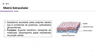 Matriz Extracelular
4
• Substância secretada pelas próprias células
que é constituída de proteínas, carboidratos
glicoproteínas;
• Funções: Suporte mecânico; transporte de
moléculas; Desempenha papel importantes
na junção celular.
 