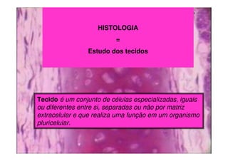 HISTOLOGIA
=
Estudo dos tecidos
Tecido é um conjunto de células especializadas, iguais
ou diferentes entre si, separadas ou não por matriz
extracelular e que realiza uma função em um organismo
pluricelular.
 