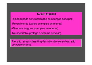 Tecido Epitelial
Também pode ser classificado pela função principal:
-Revestimento (vários exemplos anteriores)
-Glandular (alguns exemplos anteriores)
-Neuroepitélio (protege o sistema nervoso)
Atenção: essas classificações não são exclusivas, são
complementares
 
