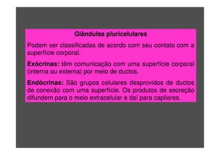 Glândulas pluricelulares
Podem ser classificadas de acordo com seu contato com a
superfície corporal.
Exócrinas: têm comunicação com uma superfície corporal
(interna ou externa) por meio de ductos.
Endócrinas: São grupos celulares desprovidos de ductos
de conexão com uma superfície. Os produtos de secreção
difundem para o meio extracelular e daí para capilares.
 