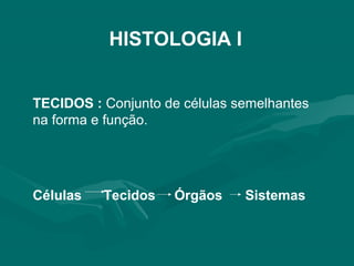 HISTOLOGIA I
TECIDOS : Conjunto de células semelhantes
na forma e função.
Células Tecidos Órgãos Sistemas
 