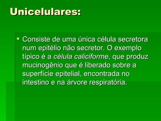 Unicelulares:

  Consiste de uma única célula secretora
   num epitélio não secretor. O exemplo
   típico é a célula caliciforme, que produz
   mucinogênio que é liberado sobre a
   superfície epitelial, encontrada no
   intestino e na árvore respiratória.
 