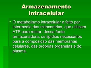 Armazenamento
        intracelular
 O metabolismo intracelular e feito por
  intermédio das mitocontrias, que utilizam
  ATP para retirar, dessa fonte
  armazenadora, os lipídios necessários
  para a composição das membranas
  celulares, das próprias organelas e do
  plasma.
 