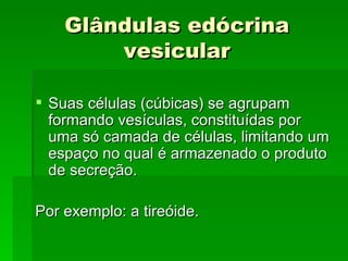 Glândulas edócrina
        vesicular

 Suas células (cúbicas) se agrupam
  formando vesículas, constituídas por
  uma só camada de células, limitando um
  espaço no qual é armazenado o produto
  de secreção.

Por exemplo: a tireóide.
 