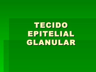 TECIDO
EPITELIAL
GLANULAR
 