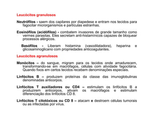 Leucócitos granulosos
Neutrófilos - saem dos capilares por diapedese e entram nos tecidos para
fagocitar microrganismos e partículas estranhas.
Eosinófilos (acidófilos) - combatem invasores de grande tamanho como
vermes parasitas. Eles secretam anti-histamínicos capazes de bloquear
processos alérgicos.
Basófilos - Liberam histamina (vasodilatadora), heparina e
glicosaminoglicano com propriedades anticoagulantes.
Leucócitos agranulosos
Monócitos – do sangue, migram para os tecidos onde amadurecem,
transformando-se em macrófagos, células com atividade fagocitária.
Quando fixos em certos tecidos recebem denominações especiais.
Linfócitos B – produzem proteínas da classe das imunoglobulinas
denominadas anticorpos.
Linfócitos T auxiliadores ou CD4 – estimulam os linfócitos B a
produzirem anticorpos, ativam os macrófagos e estimulam
diferenciação dos linfócitos CD 8.
Linfócitos T citotóxicos ou CD 8 – atacam e destroem células tumorais
ou as infectadas por vírus.
 