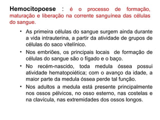 Hemocitopoese : é o processo de formação,
maturação e liberação na corrente sanguínea das células
do sangue.
• As primeira células do sangue surgem ainda durante
a vida intrauterina, a partir da atividade de grupos de
células do saco vitelínico.
• Nos embriões, os principais locais de formação de
células do sangue são o fígado e o baço.
• No recém-nascido, toda medula óssea possui
atividade hematopoiética; com o avanço da idade, a
maior parte da medula óssea perde tal função.
• Nos adultos a medula está presente principalmente
nos ossos pélvicos, no osso esterno, nas costelas e
na clavícula, nas extremidades dos ossos longos.
 