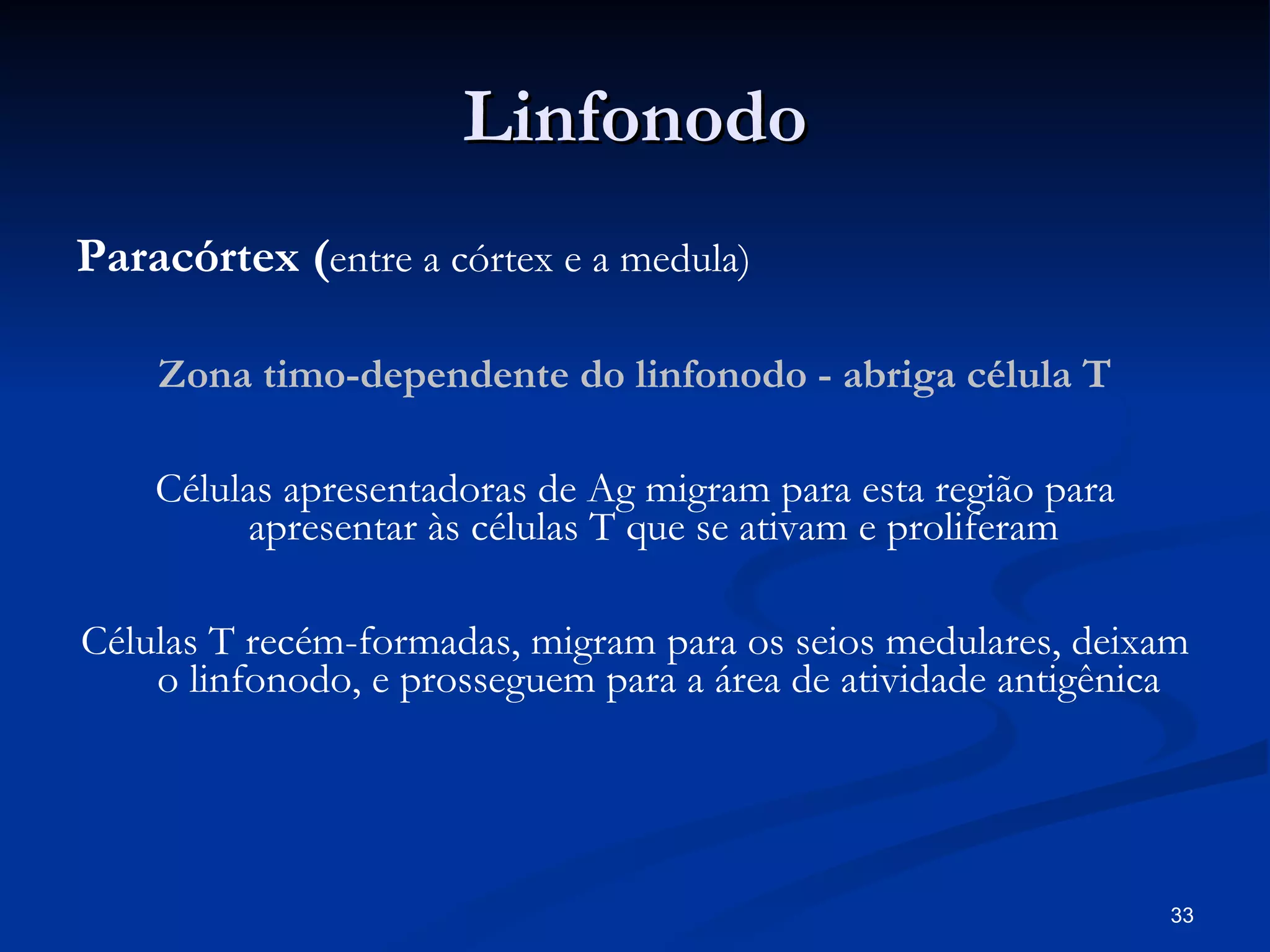 Linfonodo Paracórtex ( entre a córtex e a medula) Zona timo-dependente do linfonodo - abriga célula T Células apresentadoras de Ag migram para esta região para apresentar às células T que se ativam e proliferam  Células T recém-formadas, migram para os seios medulares, deixam o linfonodo, e prosseguem para a área de atividade antigênica 