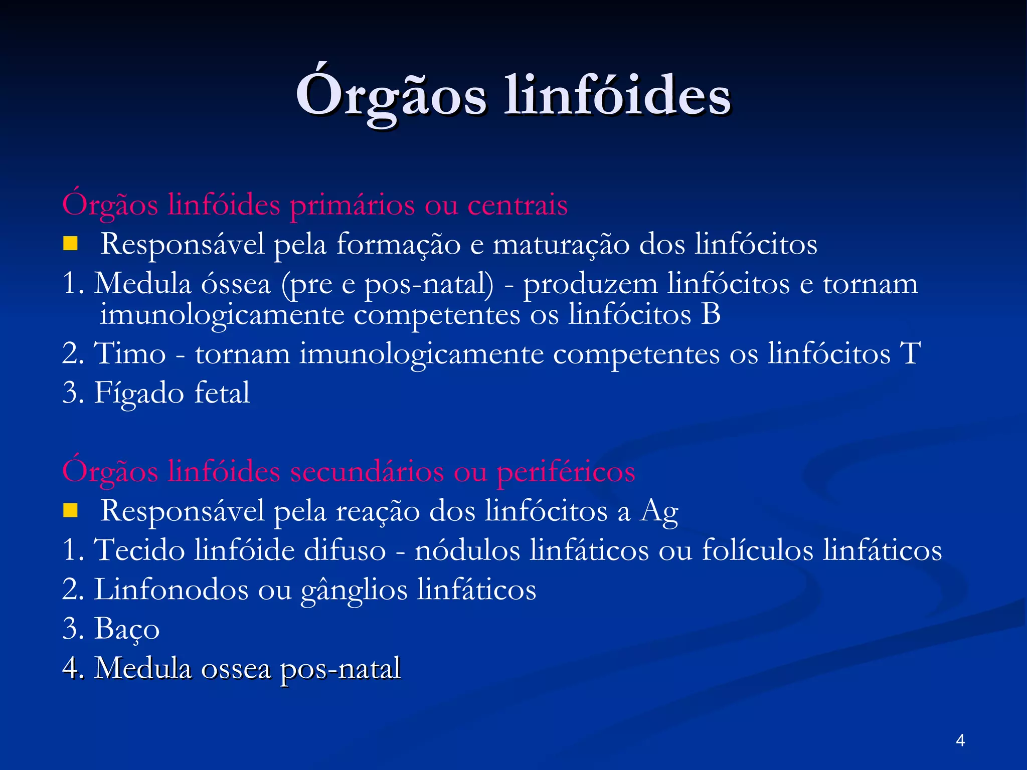 Órgãos linfóides Órgãos linfóides primários ou centrais Responsável pela formação e maturação dos linfócitos 1. Medula óssea (pre e pos-natal) - produzem linfócitos e tornam imunologicamente competentes os linfócitos B 2. Timo - tornam imunologicamente competentes os linfócitos T 3. Fígado fetal Órgãos linfóides secundários ou periféricos Responsável pela reação dos linfócitos a Ag 1. Tecido linfóide difuso - nódulos linfáticos ou folículos linfáticos 2. Linfonodos ou gânglios linfáticos 3. Baço 4. Medula ossea pos-natal 