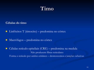Timo Células do timo Linfócitos T (timocito) – predomina no córtex Macrófagos – predomina no córtex Células retículo-epiteliais (CRE) – predomina na medula Não produzem fibras reticulares Forma o reticulo por uniões celulares – desmossomos e junções oclusivas  