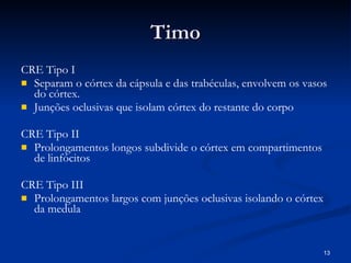 Timo CRE Tipo I Separam o córtex da cápsula e das trabéculas, envolvem os vasos do córtex.  Junções oclusivas que isolam córtex do restante do corpo CRE Tipo II  Prolongamentos longos subdivide o córtex em compartimentos de linfócitos CRE Tipo III Prolongamentos largos com junções oclusivas isolando o córtex da medula  