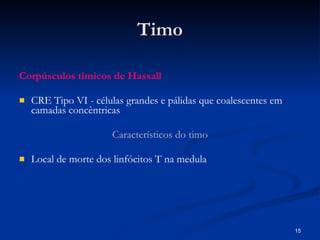 Timo Corpúsculos tímicos de Hassall CRE Tipo VI - células grandes e pálidas que coalescentes em camadas concêntricas  Característicos do timo Local de morte dos linfócitos T na medula 