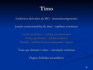 Timo Linfócitos derivados da MO - imunoincompetentes Junção corticomedular do timo - capilares contínuos Córtex periférico – células em maturação Córtex profundo – células maduras Medula – células imunocompetentes virgens Veias que drenam o timo – circulação sistêmica Órgãos linfóides secundários 
