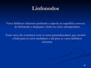 Linfonodos Vasos linfáticos aferentes perfuram a cápsula na superfície convexa do linfonodo e despejam a linfa nos seios subcapsulares Estes seios são contínuos com os seios paratrabeculares que enviam a linfa para os seios medulares e daí para os vasos linfáticos eferentes 