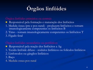 Órgãos linfóides Órgãos linfóides primários ou centrais Responsável pela formação e maturação dos linfócitos 1. Medula óssea (pre e pos-natal) - produzem linfócitos e tornam imunologicamente competentes os linfócitos B 2. Timo - tornam imunologicamente competentes os linfócitos T 3. Fígado fetal Órgãos linfóides secundários ou periféricos Responsável pela reação dos linfócitos a Ag 1. Tecido linfóide difuso - nódulos linfáticos ou folículos linfáticos 2. Linfonodos ou gânglios linfáticos 3. Baço 4. Medula ossea pos-natal 