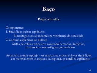 B aço Polpa vermelha Componentes: 1. Sinusóides (seios) esplênicos Macrófagos são abundantes na vizinhança do sinusóide 2. Cordões esplênicos de Billroth Malha de células reticulares contendo hemácias, linfócitos, plasmócitos, macrofágos e granulócitos Assemelha a uma esponja – os espaços na esponja são os sinusóides e o material entre os espaços da esponja, os cordões esplênicos 