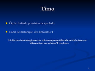 Timo Órgão linfóide primário encapsulado  Local de maturação dos linfócitos T Linfócitos imunologicamente não-comprometidos da medula óssea se diferenciam em células T maduras 
