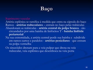 B aço Suprimento vascular  Artéria esplênica se ramifica à medida que entra na cápsula do baço  Ramos -  artérias trabeculares  – entram no baço pelas trabéculas  Abandonam as trabéculas -  artéria central da polpa branca  - são circundados por uma bainha de linfócitos T -  bainha linfóide periarterial   Na sua extremidade, a artéria central perde sua bainha e  subdivide em ramos curtos e paralelos -  artérias penicilares  - que entram na polpa vermelha Os sinusóides drenam para a veia pulpar que drena na veia trabecular, veia esplênica que desemboca na veia porta 