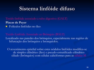 Sistema linfóide difuso Tecido linfóide associado a tubo digestivo (GALT) Placas de Peyer  Folículos linfóides no íleo Tecido Linfóide Associado ao Brônquio (BALT) Localizado nas paredes dos brônquios, especialmente nas regiões de bifurcação dos brônquios e bronquíolos.  O revestimento epitelial sobre estes nódulos linfóides modifica-se de simples cilíndrico (íleo) e pseudo-estratificado cilíndrico ciliado (brônquios) com células caliciformes para as  células M 