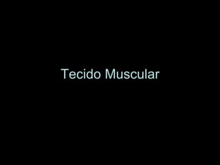 Tecido Muscular 
