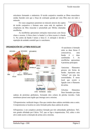 Tecido muscular



reticulares formando o endomísio. O tecido conjuntivo mantém as fibras musculares
unidas fazendo com que a força de contração gerada por uma fibra atue em todo o
músculo.
        Os vasos sanguíneos penetram no músculo através dos septos
de tecido conjuntivo e formam uma vasta rede de capilares. O
citoplasma da fibra muscular é preenchido por fibrilas chamadas
miofibrilas.
        As miofibrilas apresentam estriações transversais com faixas
claras e escuras. A faixa clara é a banda I e a faixa escura é a banda
A. No centro da banda I temos a faixa Z. A estriação é devida a
repetição da unidade contrátil que é o sarcômero.


                                                             O sarcômero é formado
                                                            entre as duas faixas Z
                                                            consecutivas,        uma
                                                            banda A e duas
                                                            semibandas      I.     As
                                                            miofibrilas apresentam
                                                            4 proteínas principais:

                                                            1)miosina: filamentos
                                                            grossos em forma de
                                                            bastão. Apresenta uma
                                                            “cabeça” em uma das
                                                            extremidades. É nesse
                                                            local que ocorre a
                                                            ligação com o filamento
                                                            de actina.

                                                         2)Actina:     filamentos
                                                         finos formados por duas
cadeias de proteínas globulares, formando dois colares de pérolas torcidos. Cada
monômero possui uma região que interage com a miosina.

3)Tropomiosina: molécula longa e fina que contém duas cadeias enroladas uma a outra.
A tropomiosina se localiza no sulco formado pelas duas cadeias de actina.

4)Troponina: é um complexo protéico formado por três subunidades globulares: TnC,
tem grande afinidade por Cálcio; TnT, que se liga a tropomiosina; TnI, cobre o sítio
ativo onde ocorre a interação da actina com a miosina.



Nathalia Fuga – CHE                                                        Página 2
 