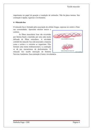 Tecido muscular



importantes no papel de geração e condução de estímulos. Não há placa motora. Sua
contração é rápida, vigorosa e involuntária.

4 –Músculo liso

O músculo liso é formado pela associação de células longas, espessas no centro e finas
nas extremidades. Apresenta núcleos únicos e
centrais.
        As fibras musculares lisas são revestidas
por lâmina basal e mantidas por uma rede muito
delicada de fibras reticulares. A atividade
contrátil do músculo liso está associado a maneira
como a actina e a miosina se organizam. Elas
formam uma trama tridimensional e a contração
se dá por mecanismos de deslizamento. O
músculo liso recebe inervação do Sistema
Nervoso Autônomo. Sua contração é lenta e involuntária.




Nathalia Fuga – CHE                                                          Página 4
 