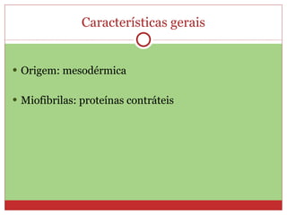 Características gerais Origem: mesodérmica Miofibrilas: proteínas contráteis