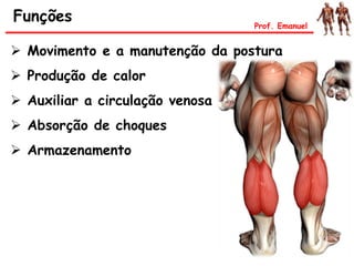  Movimento e a manutenção da postura
 Produção de calor
 Auxiliar a circulação venosa
 Absorção de choques
 Armazenamento
Funções Prof. Emanuel
 