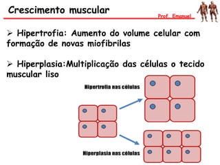  Hipertrofia: Aumento do volume celular com
formação de novas miofibrilas
 Hiperplasia:Multiplicação das células o tecido
muscular liso
Crescimento muscular Prof. Emanuel
 