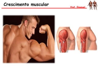 Crescimento muscular Prof. Emanuel
 