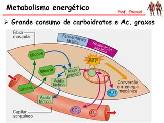 Metabolismo energético Prof. Emanuel
 Grande consumo de carboidratos e Ac. graxos
 