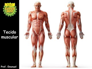 Tecido
muscular
Prof. Emanuel
 