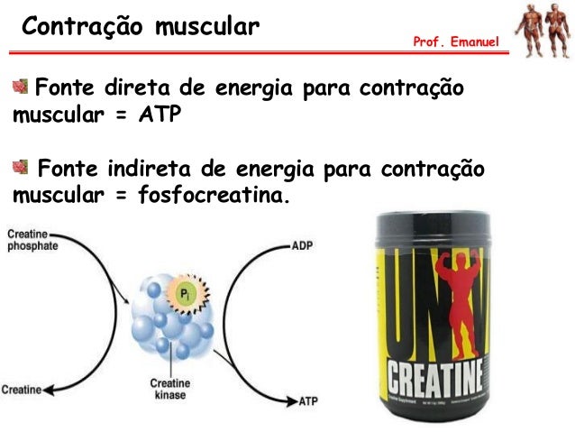¿Por dónde empezar con alimentos acelerar metabolismo?