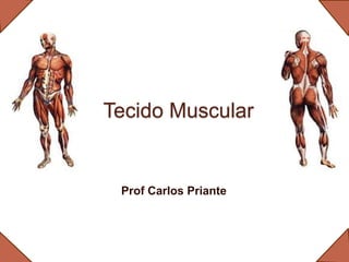 Tecido Muscular
Prof Carlos Priante
 