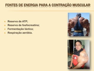 FONTES DE ENERGIA PARA A CONTRAÇÃO MUSCULAR
 Reserva de ATP;
 Reserva de fosfocreatina;
 Fermentação láctica;
 Respiração aeróbia.
 