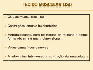 TECIDO MUSCULAR LISO
 Células musculares lisas;
 Contrações lentas e involuntárias;
 Mononucleadas, com filamentos de miosina e actina,
formando uma trama tridimensional;
 Vasos sanguíneos e nervos;
 A adrenalina interrompe a contração da musculatura
lisa.
 