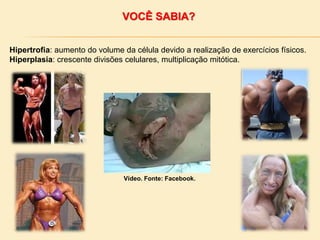VOCÊ SABIA?
Hipertrofia: aumento do volume da célula devido a realização de exercícios físicos.
Hiperplasia: crescente divisões celulares, multiplicação mitótica.
Vídeo. Fonte: Facebook.
 
