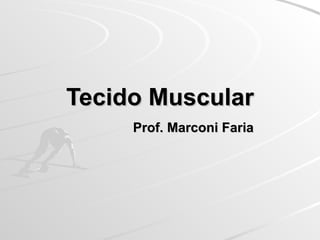 Tecido Muscular   Prof. Marconi Faria 